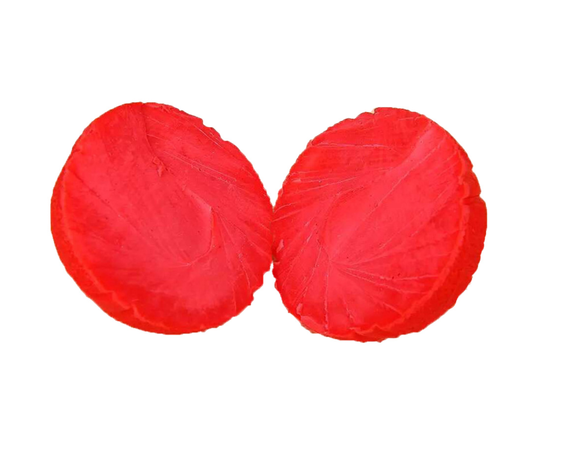Red Solid Rubber Dog Ball