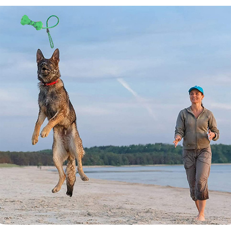Rope Chew Toys for Dogs