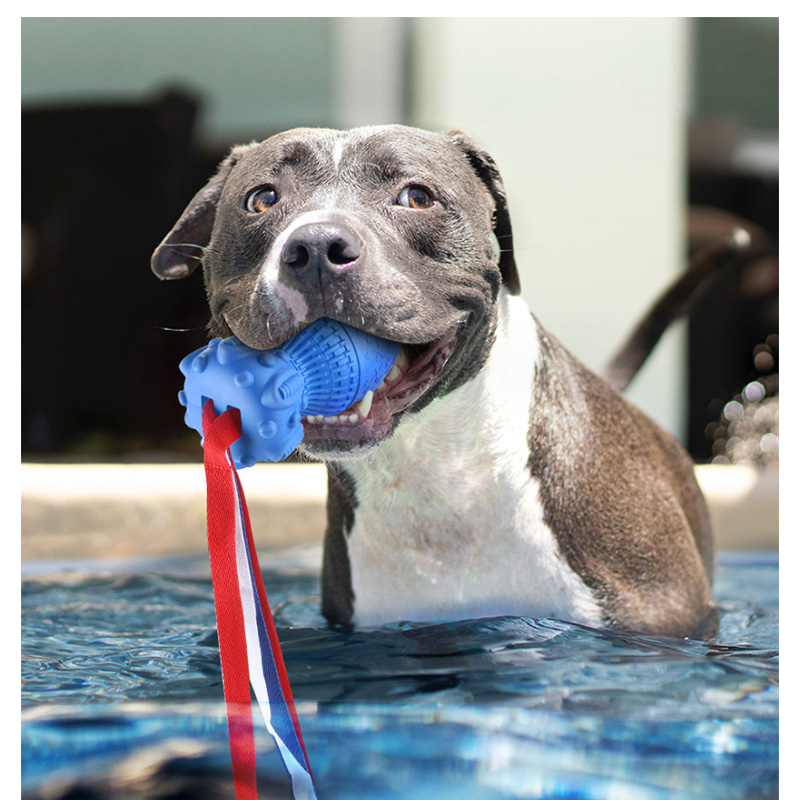 Chew Throw Toys for Dogs