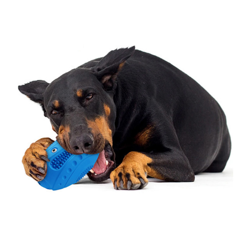 Dog Squeaky Chew Toys