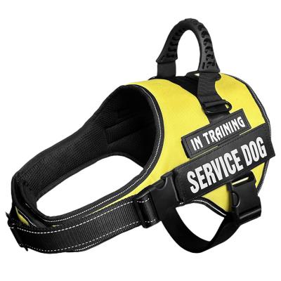 Dog Harness with Handle