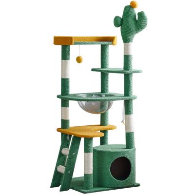 Cactus Large Cat Climbing Tree