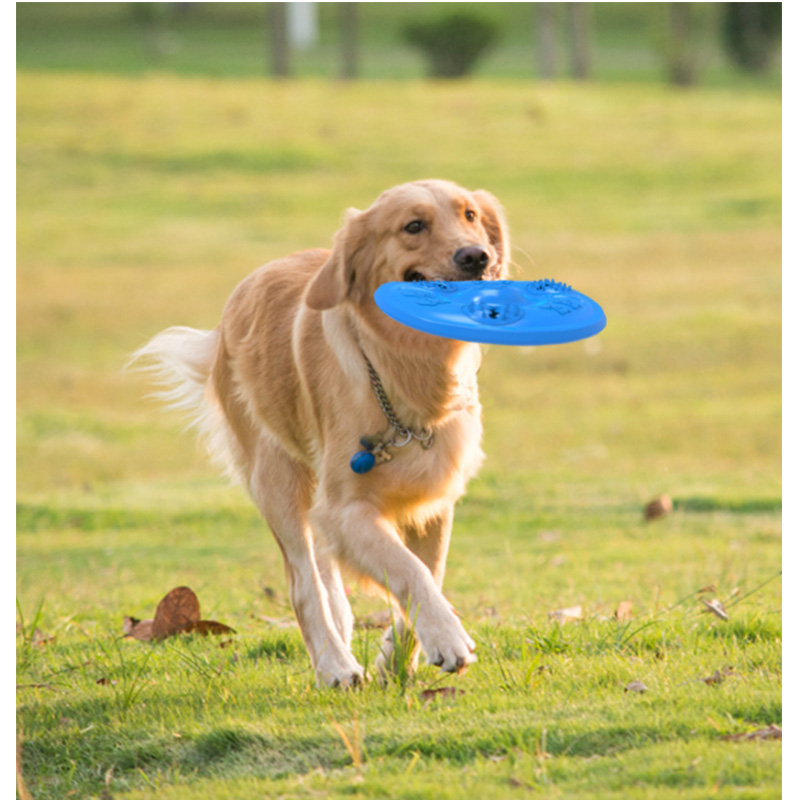 Wholesale Dog Frisbee with Dispenser for Fun Play