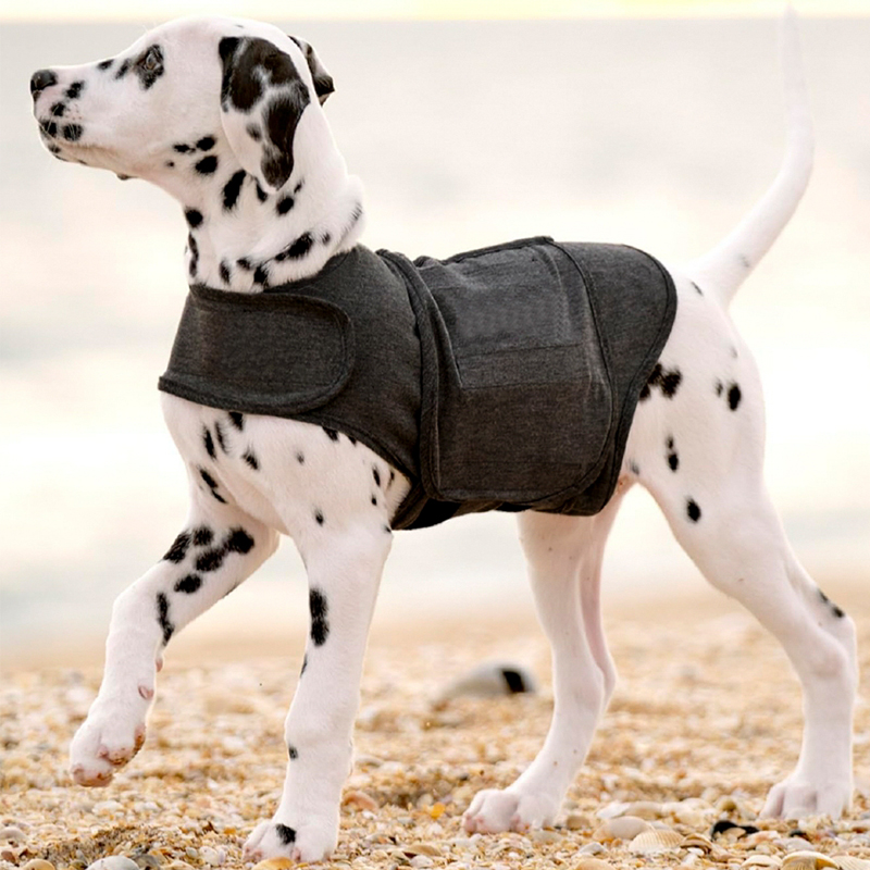 Dog Stress and Anxiety Relief Calming Vest